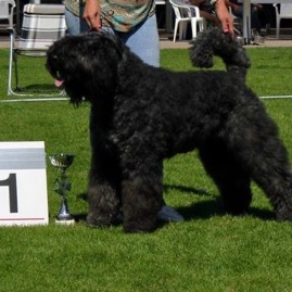 Ms Bunty Pippa van Rijn en IJsselland 2022.jpg